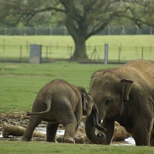 George is no pushover