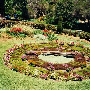 Old Taronga Zoo Photo February 1989 - The Floral Clock