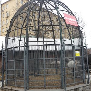 Moscow Zoo