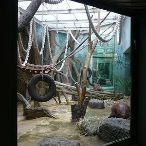 Moscow Zoo