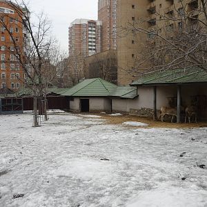Moscow Zoo