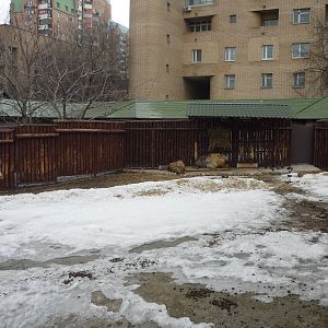 Moscow Zoo