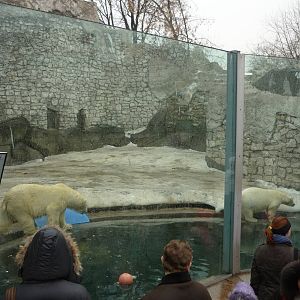 Moscow Zoo