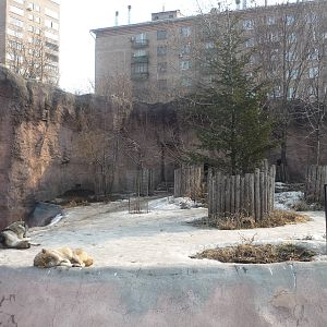 Moscow Zoo