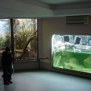 Moscow Zoo