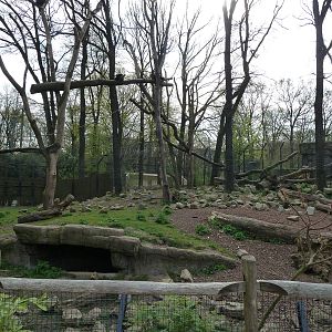 Sun bear & Birunteng exhibit