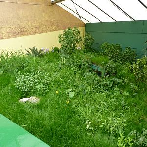 New European Souslik Enclosure