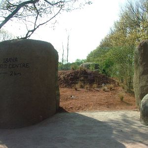 African Wild Dog Exhibit at Chester, 16/04/11