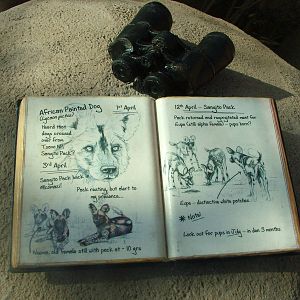 Signage Example at Chester, 16/04/11