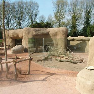 Porcupine Exhibit at Chester, 16/04/11