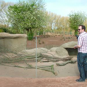 Porcupine Exhibit at Chester, 16/04/11