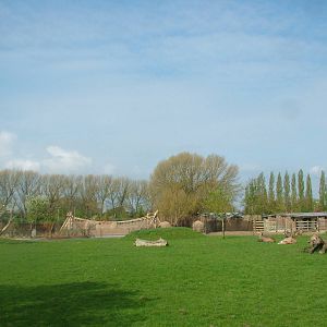 Paddock View at Chester, 16/04/11