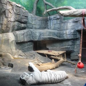 Moscow Zoo