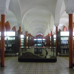 Moscow Zoological Museum