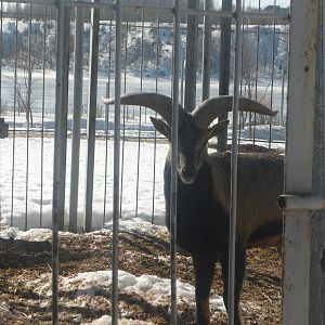 Moscow Zoo Breeding Facility