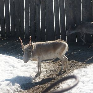 Moscow Zoo Breeding Facility