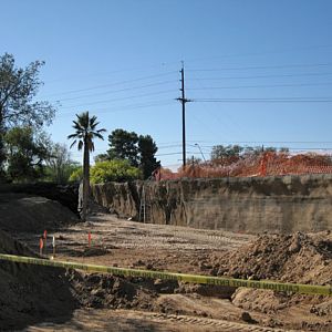 elephant construction progress