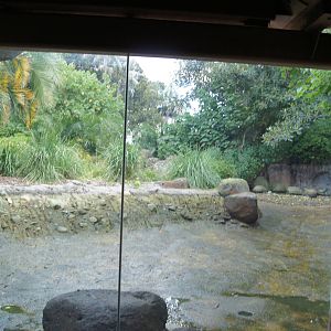 Former Pygmy Hippo Exhibit Renovations