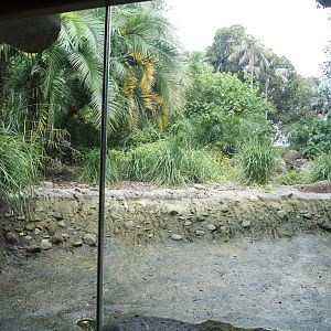 Former Pygmy Hippo Exhibit Renovations