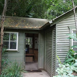 Gorilla Trail Researcher's Hut