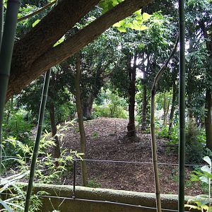 View into the gorilla exhibit