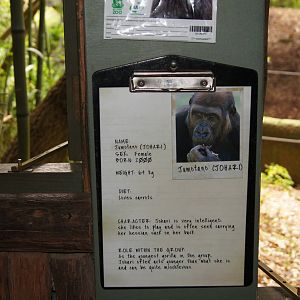 Gorilla identification clipboards