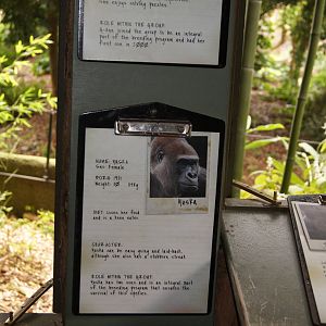 Gorilla identification clipboards