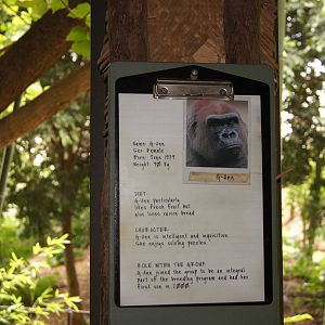 Gorilla identification clipboards