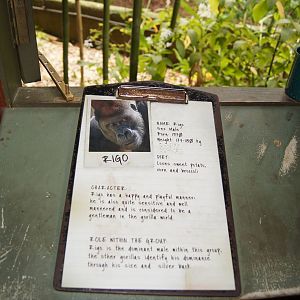 Gorilla identification clipboards
