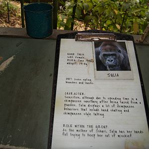 Gorilla identification clipboards