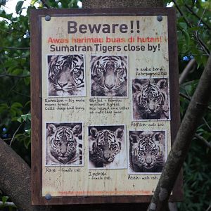 Tiger Identification Sign