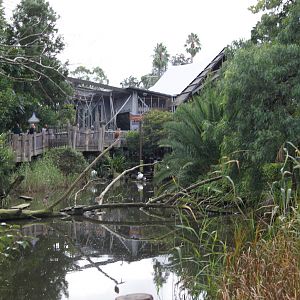 View towards Orangutan Sanctuary