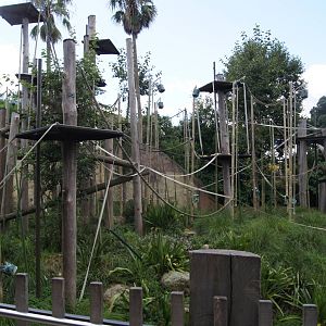 View into open enclosure