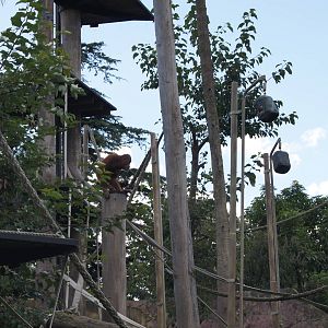 View into open enclosure