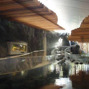 Freshwater Aquarium Overview - Tongariro National Trout Centre