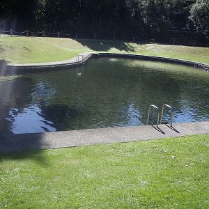 Childrens Fishing Pond - Tongariro National Trout Centre