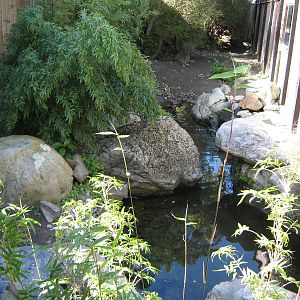 enclosure for little blue penguins (Eudyptula minor)