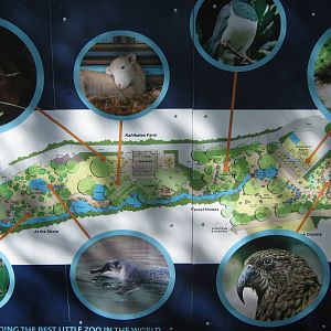 plan for the Meet The Locals development