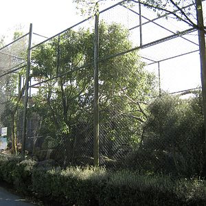 aviary for kea (Nestor notabilis)