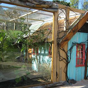 tamarin and marmoset exhibit