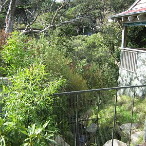 view to red panda (Ailurus fulgens) enclosure
