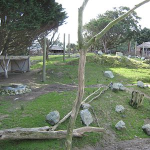 view of the African Savannah