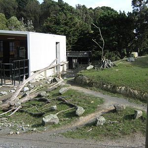 view of the African Savannah