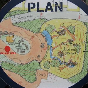 plan for future sun bear enclosure