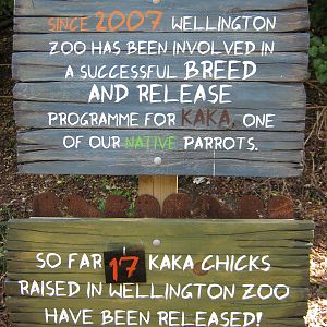 kaka breeding sign