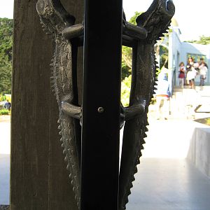 tuatara door handles!