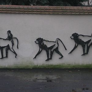 Monkey Wall