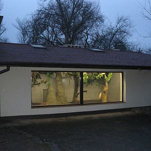 Light in the Anteater House