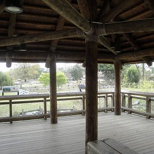 Africa Viewing Pavilion