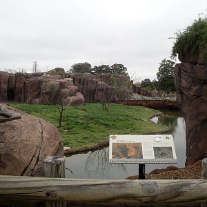 Lion Exhibit